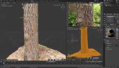Modèle 3D photoréaliste d'un tronc d'arbre généré par photogrammétrie et importé dans l'interface du logiciel Blender